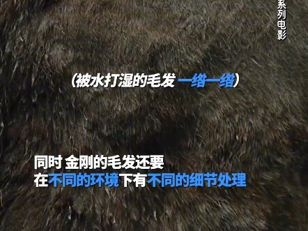 So this is how Kong’s 19 million strands of fur “grew”! #Godzilla vs. Kong 2 # Godzilla vs. Kong 2: 