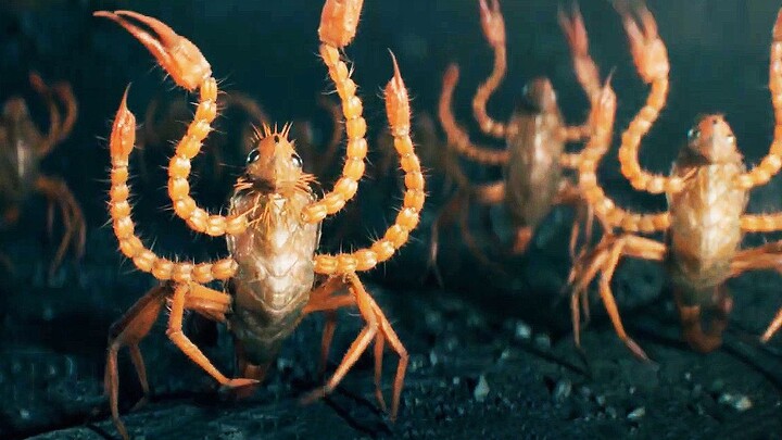 เผยภาพสัตว์มหัศจรรย์เพิ่มเติม! ตัวอย่างฉบับญี่ปุ่นของ “สัตว์มหัศจรรย์ 3”