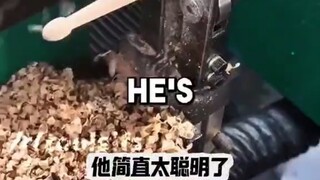 《Recommend to watch till the end》