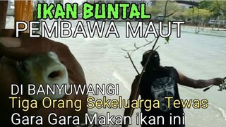 Tiga Orang Sekeluarga Di Banyuwangi Tewas Gara Gara Makan ikan ini