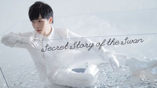 【绯缨白】IZONE男粉翻跳《幻想童话/Secret Story of the Swan》