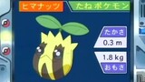 オーキド博士のポケモン講座(ヒマナッツ)