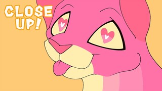 Close Up! || Animation meme ||