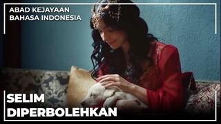 Nurbanu Berjuang Untuk Anjingnya | Abad Kejayaan