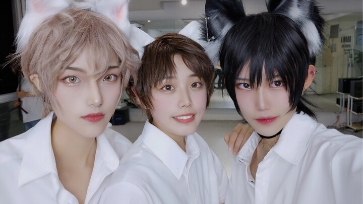 [Watching closely] A trio of men with animal ears