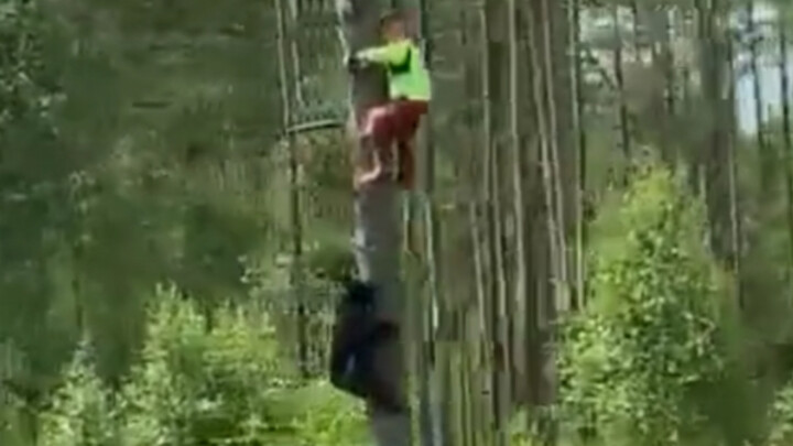 Keterampilan Tinggi, Persiapan Tak Terbatas