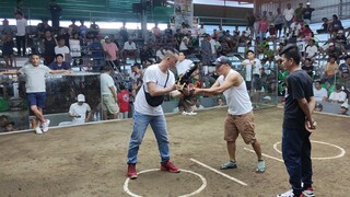 new calauan cockpit arena