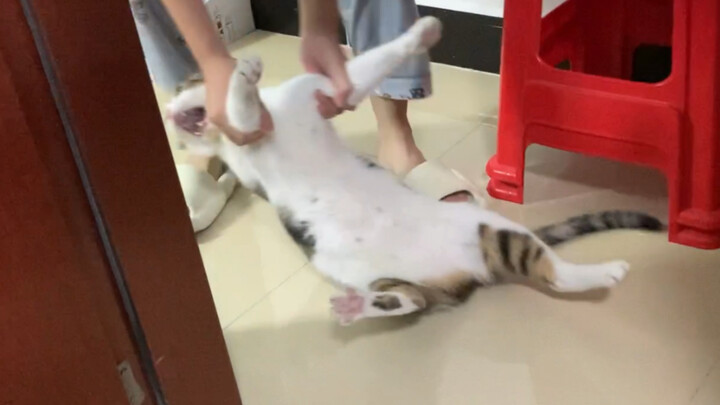 Mẹ hung dữ ba lần chuyển nhà
