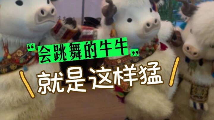 《牛牛斗舞完整版来了！！》