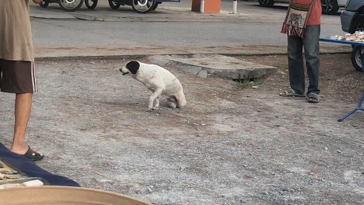 น้องน่าส่งสารจัง
