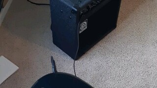 กีต้าร์เบสกำลังรับสัญญาณวิทยุ และเล่นผ่านแอมป์!