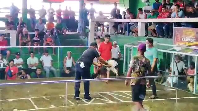 labanan Ng baldado my 3x winner white kelso