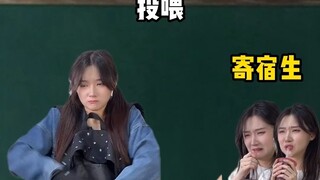 定时投喂
