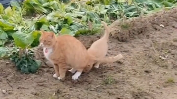 Cat: It's my first time being a mom—please forgive my awkwardness!