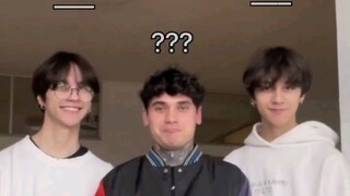 Cute and goofy half-breed 1.9-meter-tall twin heartthrobs ⚠️⚠️