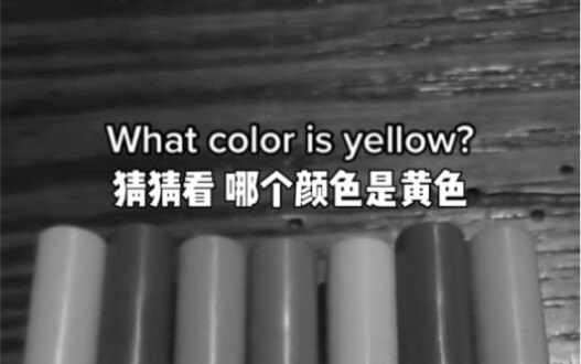 Beli sekarang, kalau kalah baru kerjain PR!