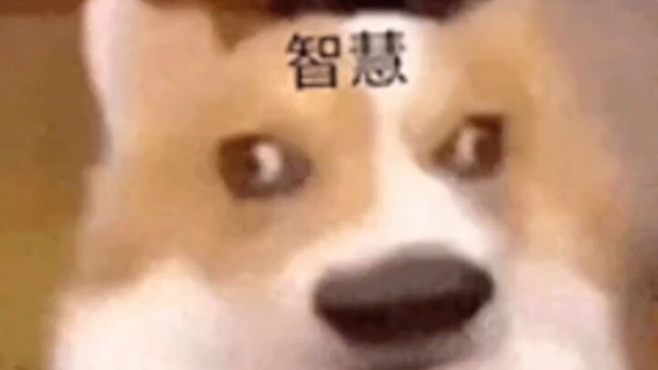 مكوّنات عالية الجودة، مذاق رائع!