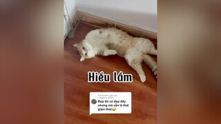 Trả lời   Tập này hơi drama mèo cat