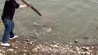 นี่ไม่ได้ประสิทธิภาพกว่าพวกตกปลาเหรอ?