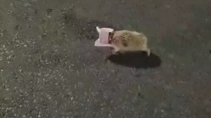 Tài xế: Trời ơi, có một anh cụt chân trên vạch kẻ đường!