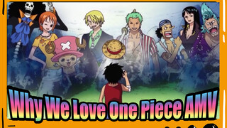 5 Minutes To Show You Why We Love One Piece | One Piece