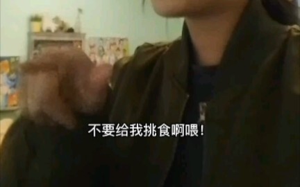 Kondisi Diet di Kolom Komentar Bilibili