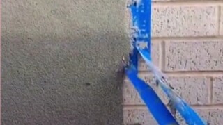 这也太爽了吧！