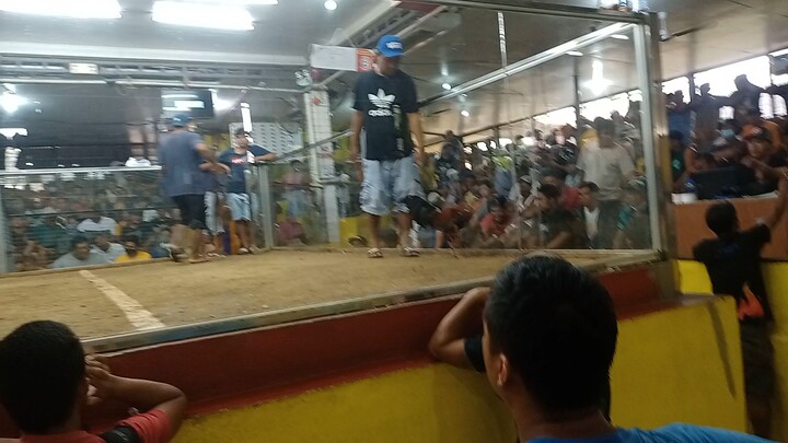 2hits 🏆💪last fight 12-30-22