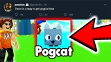 All The Possible Scenarios to Get The PogCat pog champ? in Pet Simulator X