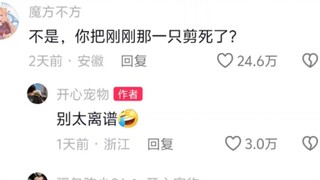 Teddy | "From Evil Fleece to Kind Fleece"