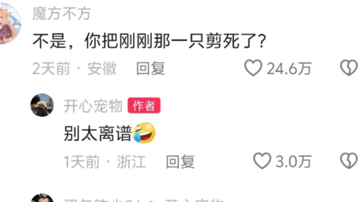 泰迪 | “邪恶摇粒绒变善良摇粒绒”