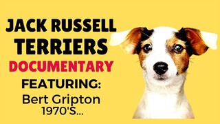 ❤️Jack Russell Terrier Dogs Documentary | Mr Bert Gripton A Great Terrier man Filmed in the 1970's