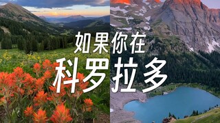 إذا كنت مسافرًا في جبال روكي بولاية كولورادو، فسترى...