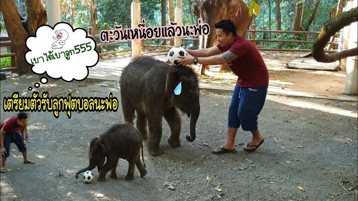 มาเล่นบอลกันเถอะ