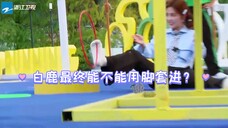 白鹿用脚套圈,毫无形象。周深:你可是美女哎