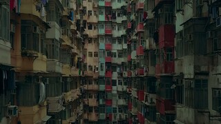 Z.1 Grafted ถลก...นังหน้าสวย (2024)