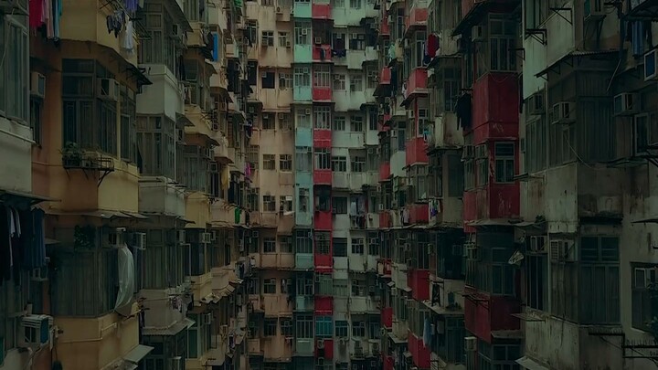 Z.1 Grafted ถลก...นังหน้าสวย (2024)