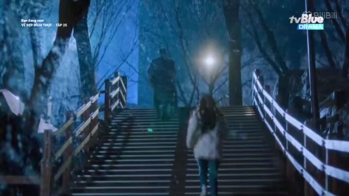 True beauty // t25.  (3)