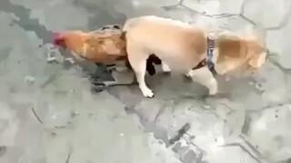 Sulit untuk berpisah