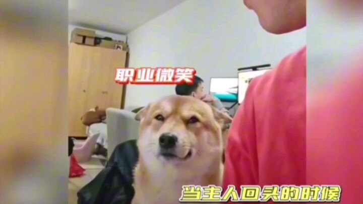 What kind of dysfunctional family could have created such a people-pleasing, “dog-like” personality?