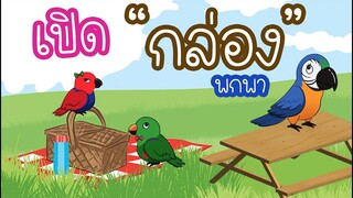 รีวิวนกแก้ว : เปิดกล่อง สำเพ็ง โบ๊เบ๊ บลู EP.69