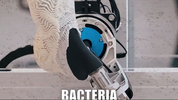 Would You Wear Shoes Made From Bacteria?