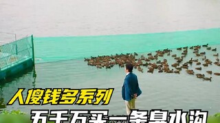 富豪以为提前得到了土地规划的内幕，花五千万买了一个臭水沟