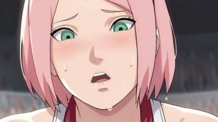 TUMBEN SAKURA DIBIKIN JUMBO