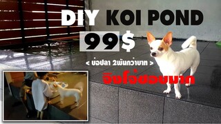 บ่อปลาคาร์พเน้นถูก (บ่อแรก)   1st KOI POND DIY $99 l คุณพ่อคราฟ