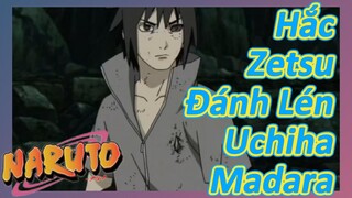 Hắc Zetsu Đánh Lén Uchiha Madara