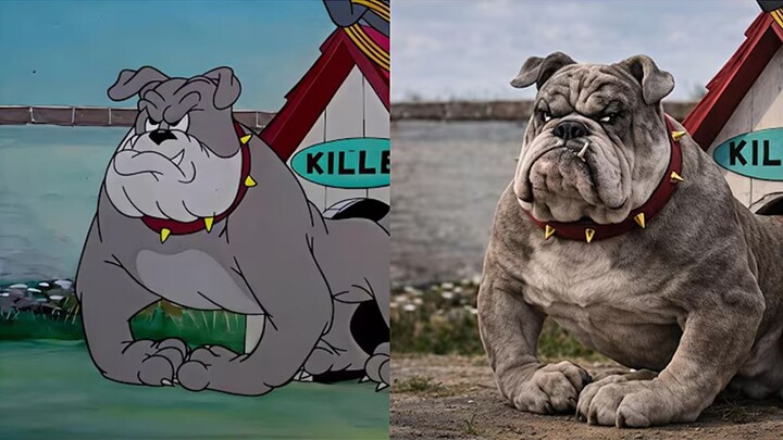 Bản đời thực của “Mèo và Chuột”: Tom và Jerry đẹp xuất sắc luôn!