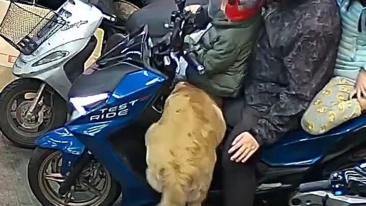 什么档次坐我的位置？