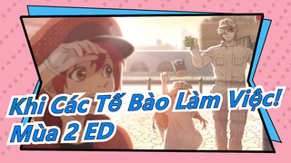 Khi Các Tế Bào Làm Việc! Mùa 2 ED「Fight!!」Đầy đủ/ ClariS