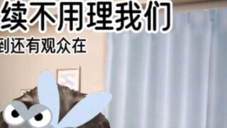 【Cat Meme】Hành trình của Heihei trước và sau khi chào đời
